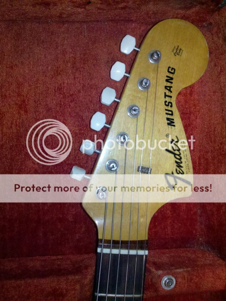 Competition mustang decal?