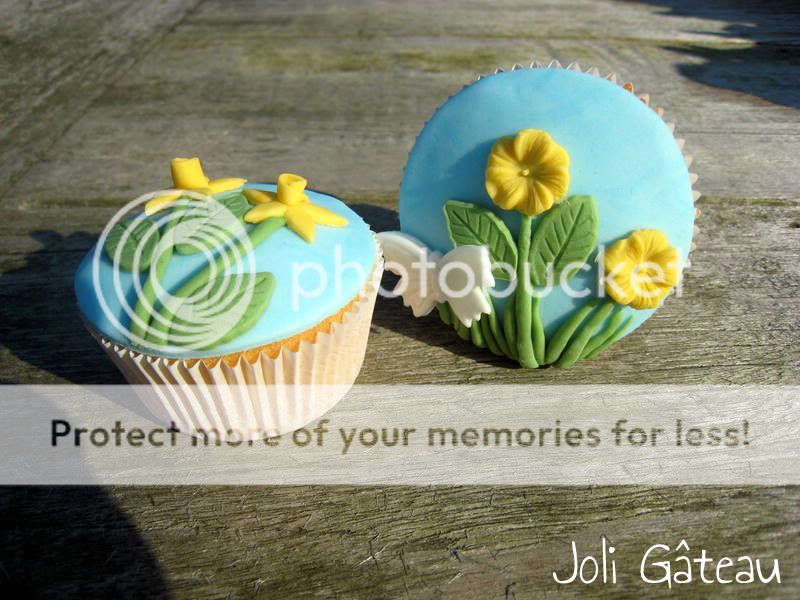 http://i996.photobucket.com/albums/af84/Liens28/Cupcakes/IMG_0928-1.jpg