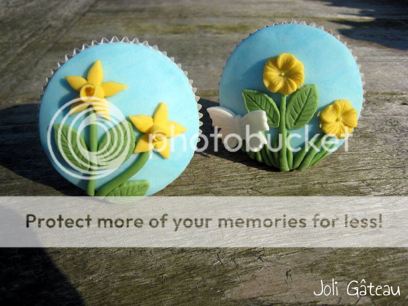 http://i996.photobucket.com/albums/af84/Liens28/Cupcakes/IMG_0929-1.jpg