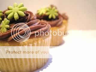 http://i996.photobucket.com/albums/af84/Liens28/Cupcakes/IMG_1821.jpg?t=1268935273