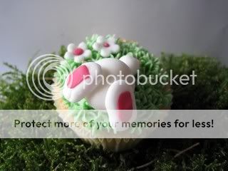 http://i996.photobucket.com/albums/af84/Liens28/Cupcakes/IMG_1832.jpg?t=1268992944