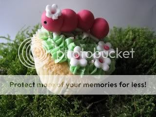 http://i996.photobucket.com/albums/af84/Liens28/Cupcakes/IMG_1835.jpg?t=1268992962