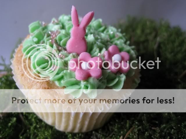 http://i996.photobucket.com/albums/af84/Liens28/Cupcakes/IMG_1839.jpg?t=1268992987