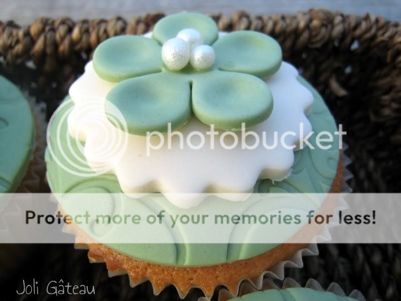 http://i996.photobucket.com/albums/af84/Liens28/Cupcakes/IMG_2248.jpg