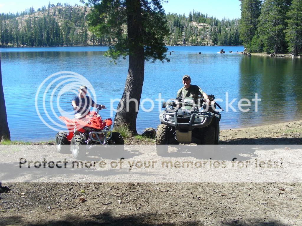 Posted Image
