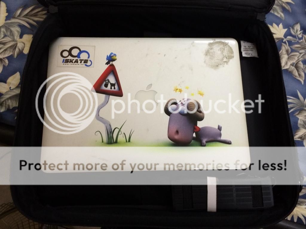 Giày Conver chính hãng and túi xách Latop rẻ nhất 5Giay đây.... - 12