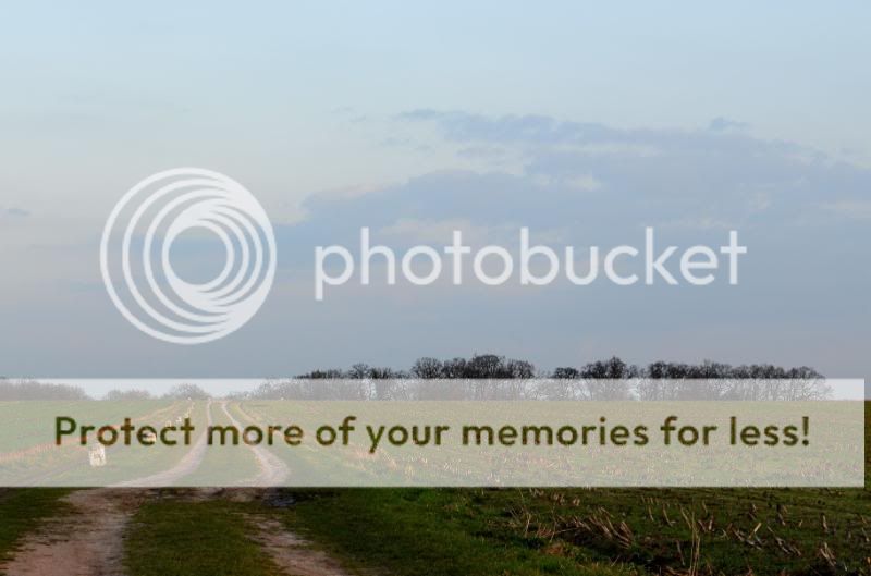 Fotografie