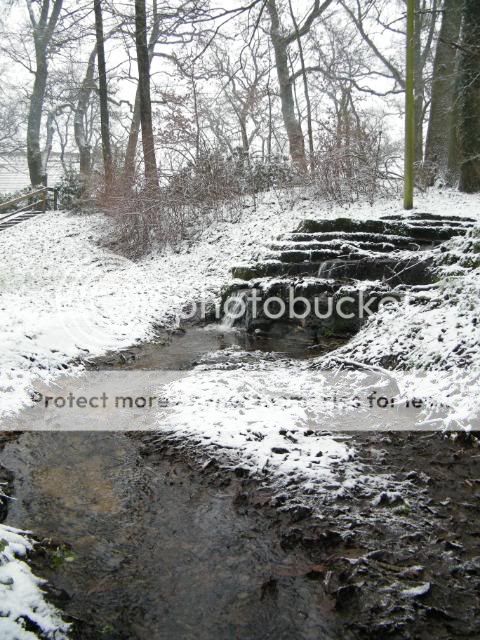 Fotografie