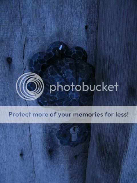 Fotografie