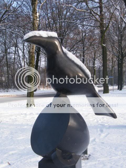 Fotografie