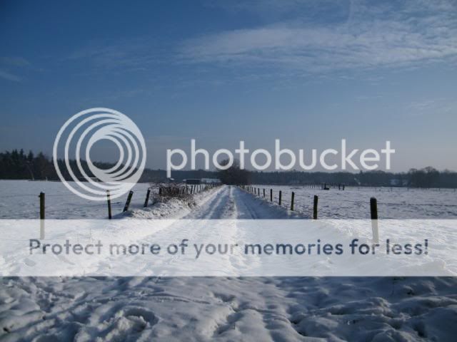 Fotografie