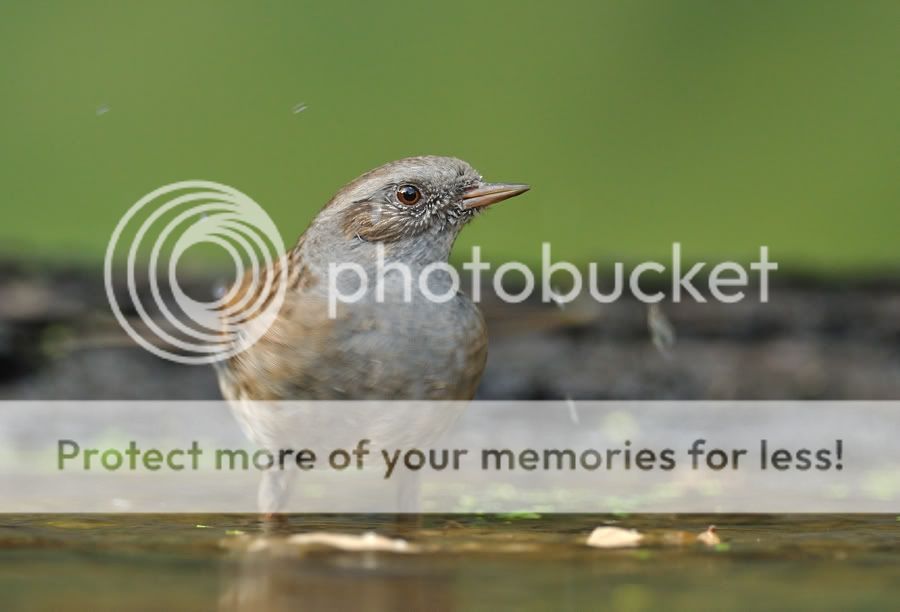 Fotografie