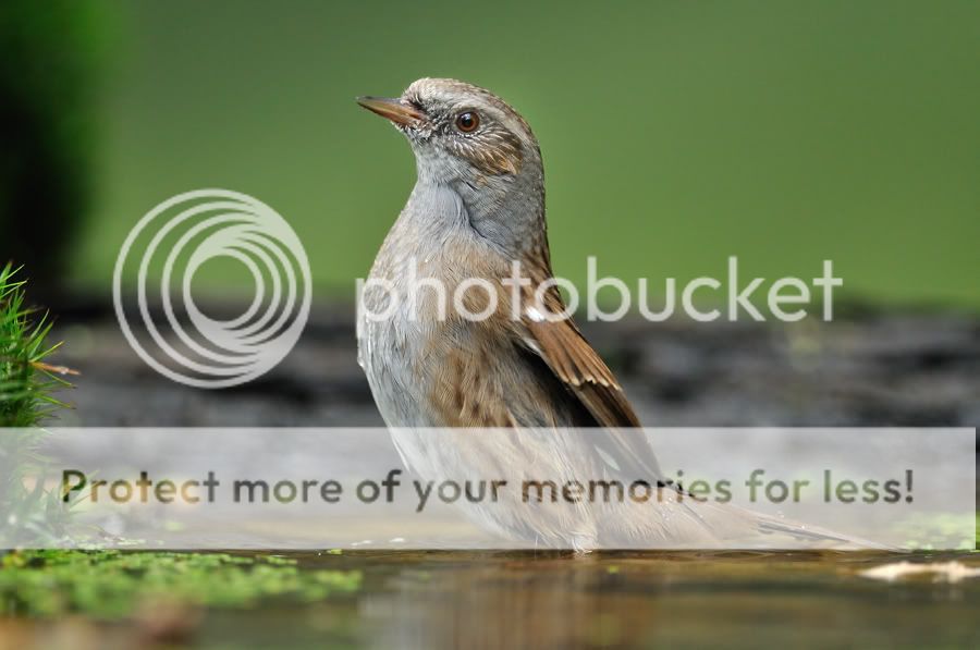Fotografie