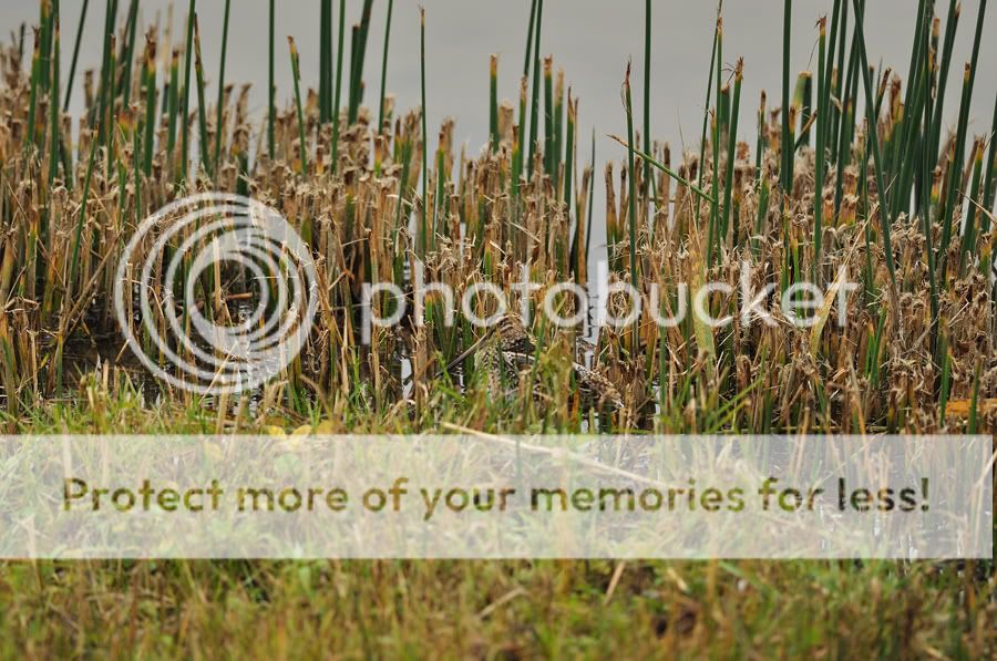 Fotografie
