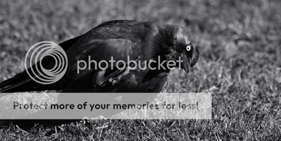 Fotografie