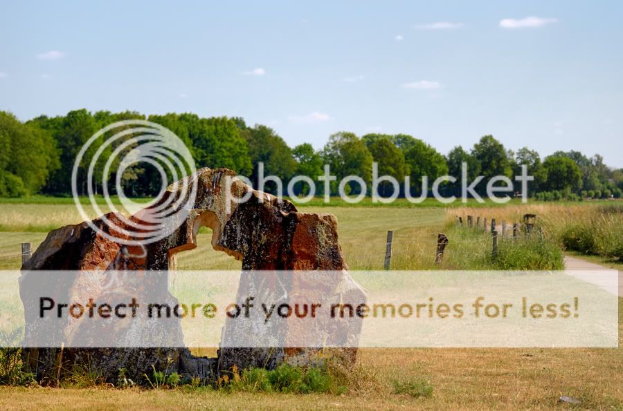 Fotografie