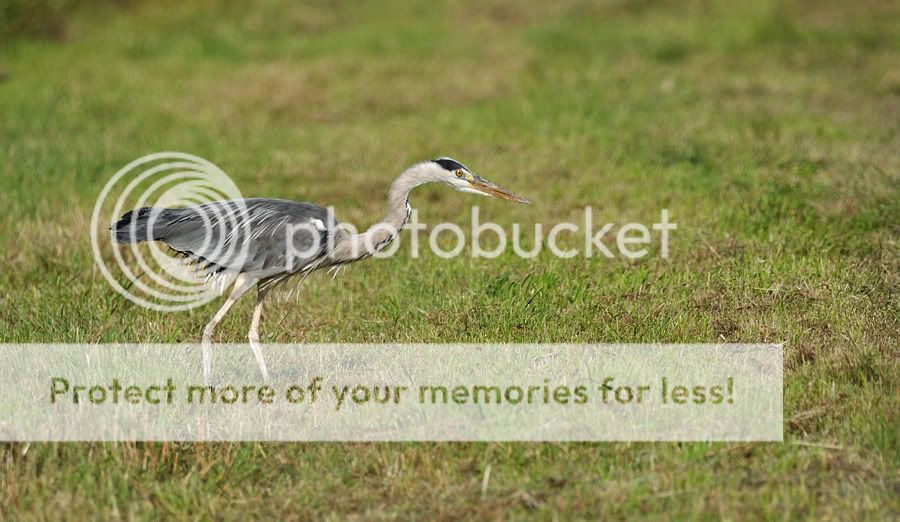 Fotografie