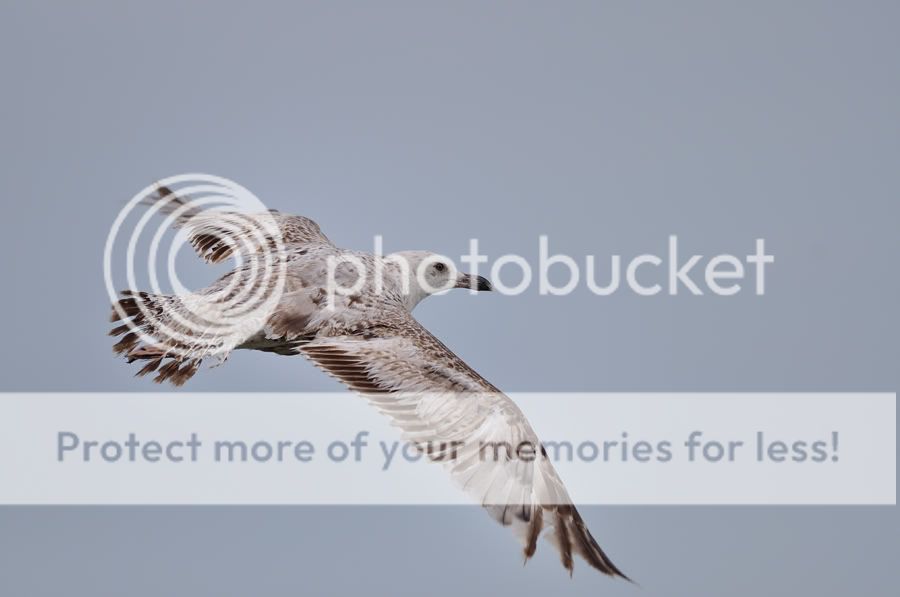 Fotografie