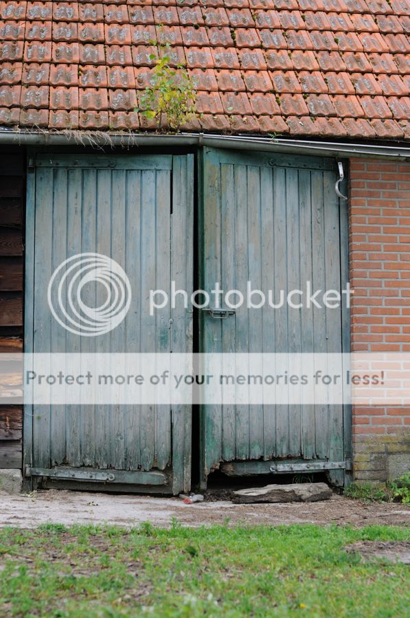 Fotografie