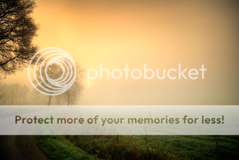 Fotografie