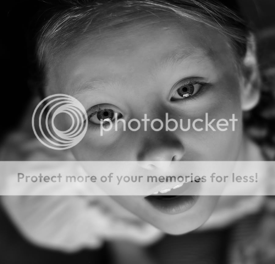 Fotografie