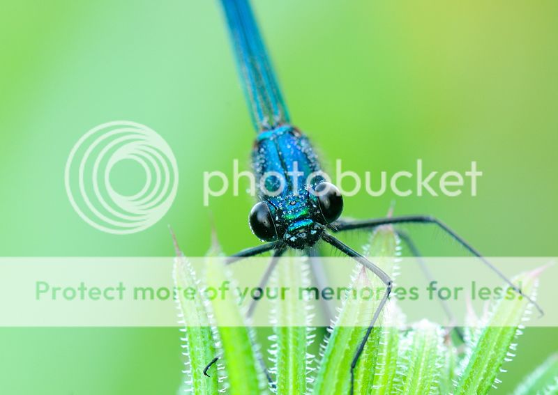 Fotografie