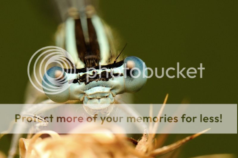 Fotografie