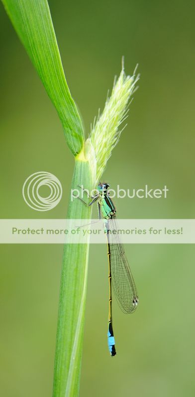 Fotografie