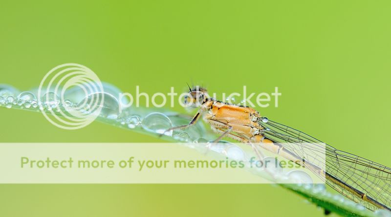 Fotografie