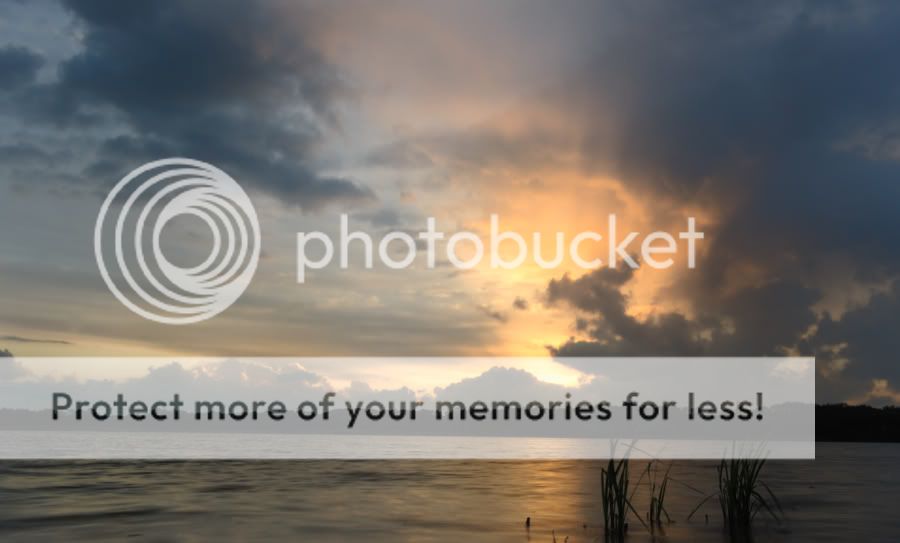 Fotografie