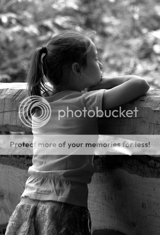 Fotografie