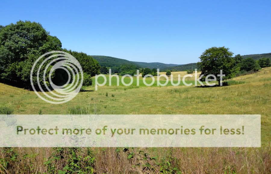 Fotografie