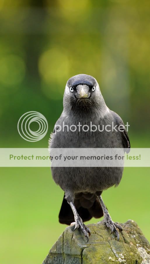 Fotografie