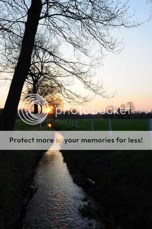 Fotografie