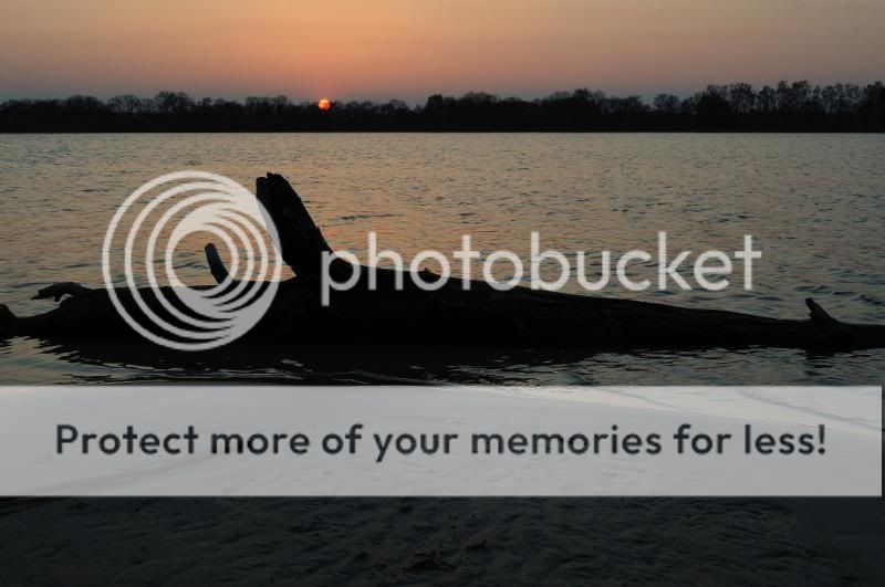 Fotografie