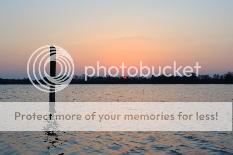 Fotografie