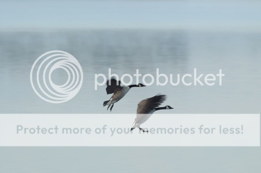 Fotografie