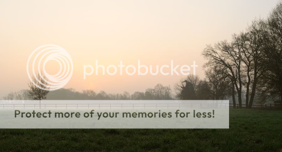 Fotografie