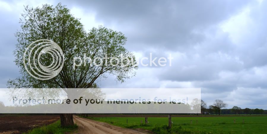 Fotografie