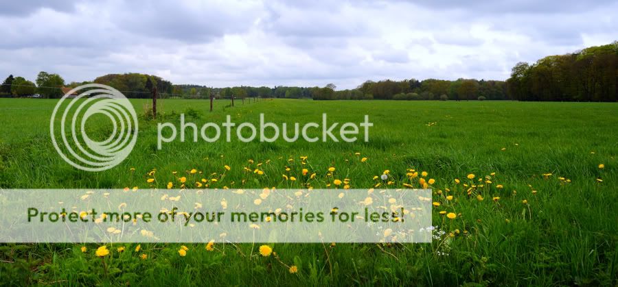 Fotografie