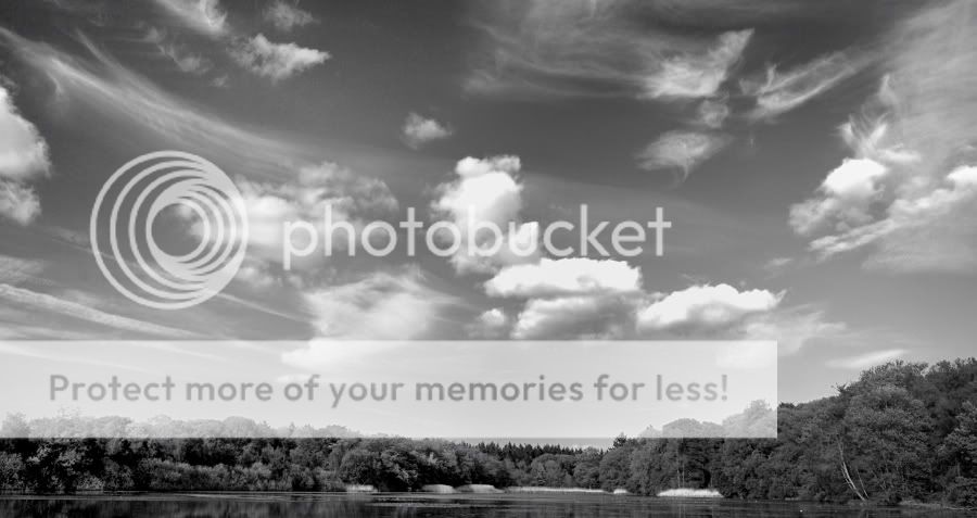Fotografie
