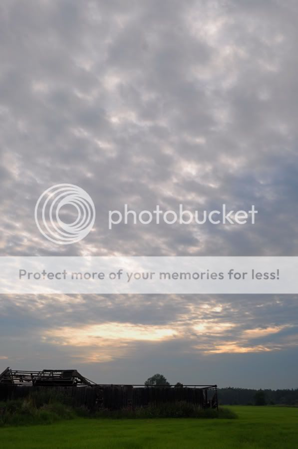 Fotografie