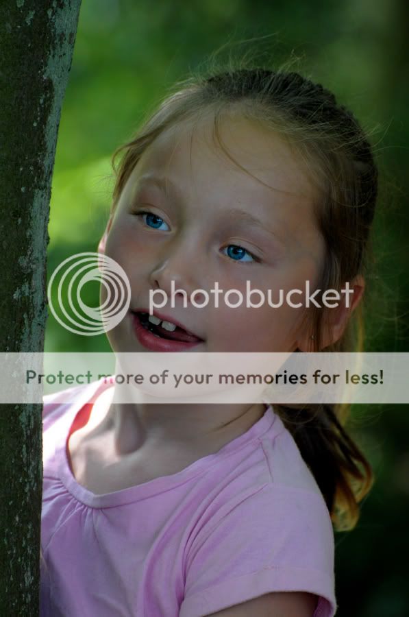 Fotografie