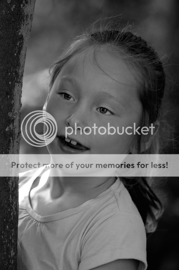 Fotografie