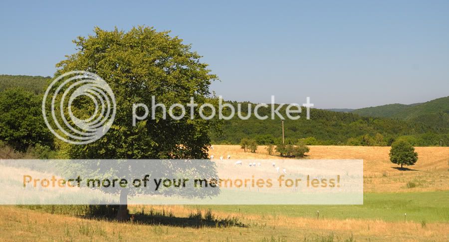 Fotografie