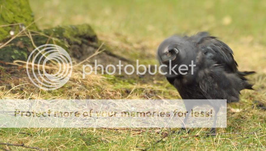 Fotografie