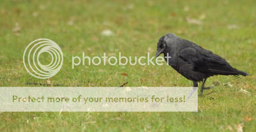 Fotografie