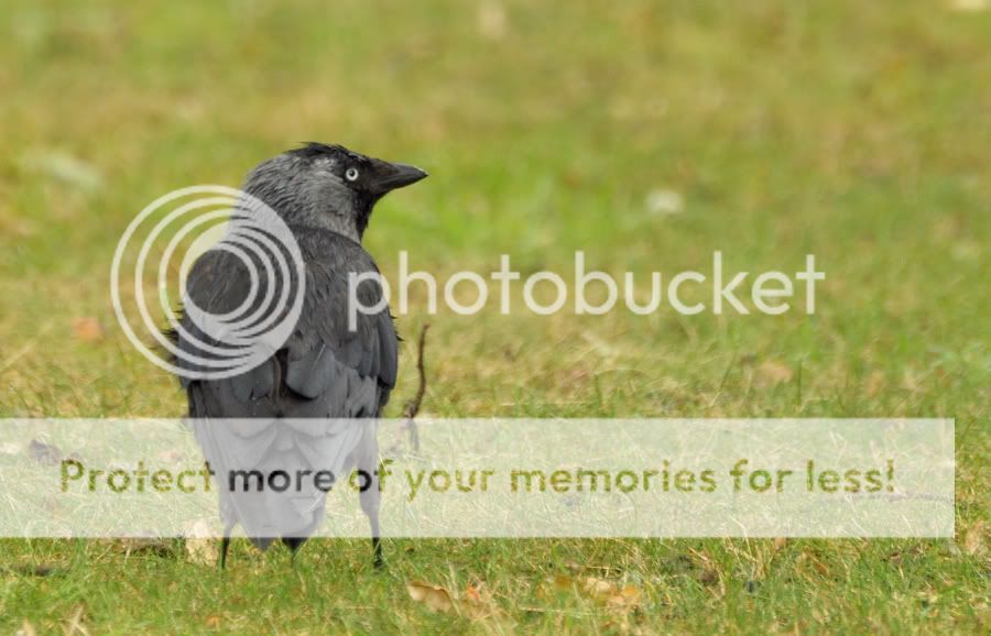 Fotografie