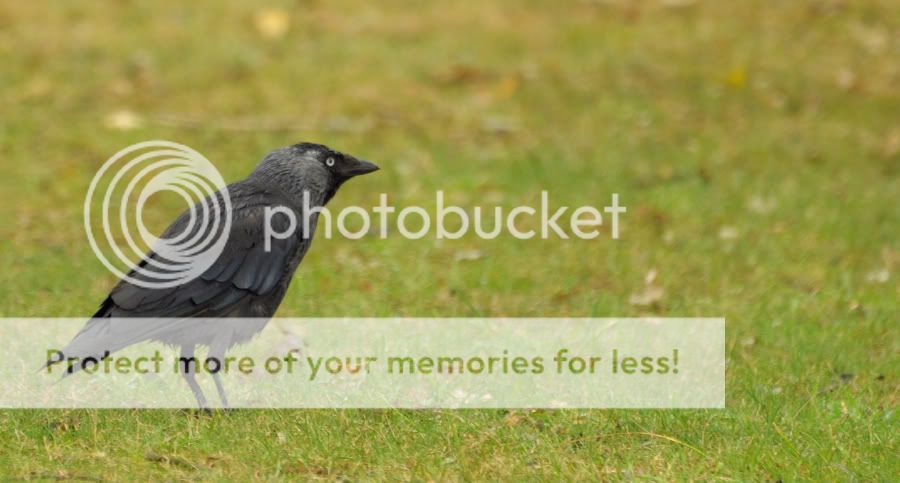 Fotografie