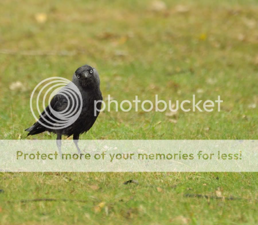 Fotografie